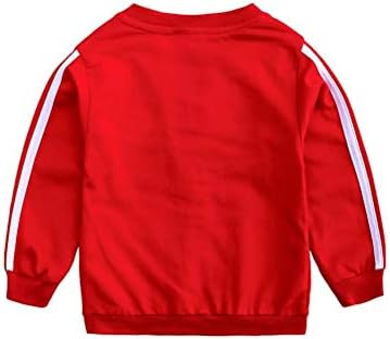 Baby Boy Girl Hoodie Tracksuit Zipper Jacket Set