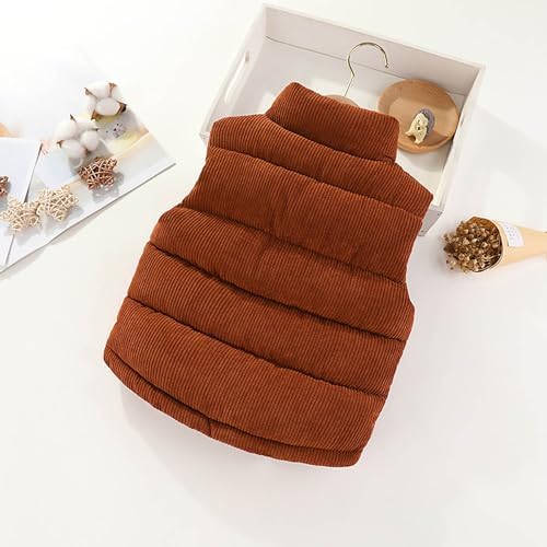 Best Buy Toddler Winter Coat