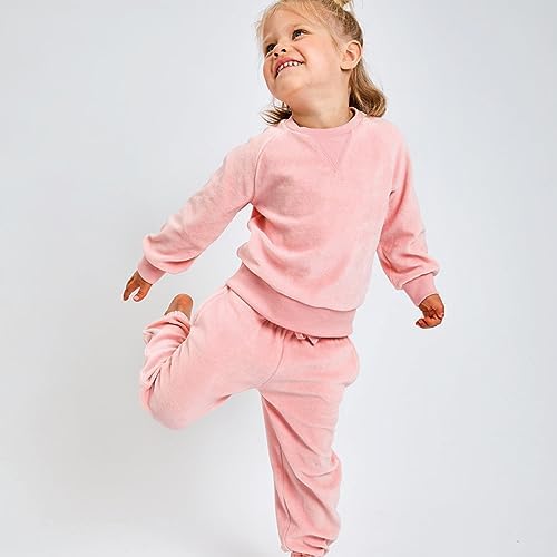 HonestBaby Velour Hoodie and Sweatpants Set