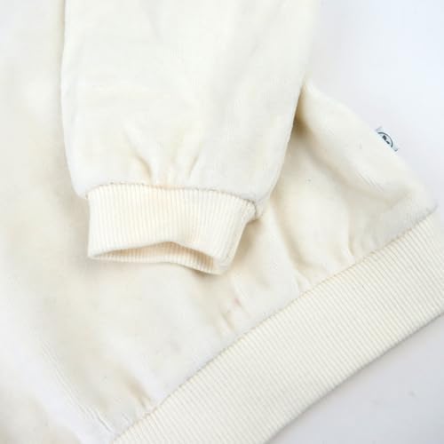 HonestBaby Velour Hoodie and Jogger Set