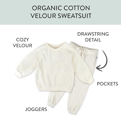 HonestBaby Velour Hoodie and Jogger Set
