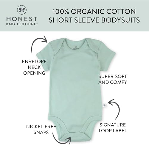 Honest Baby 3-Pack Organic Cotton Bodysuits for Infants