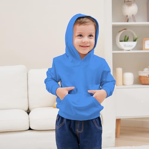 RUIBETYHUA Cute Solid Color endif-println Baby Hoodie