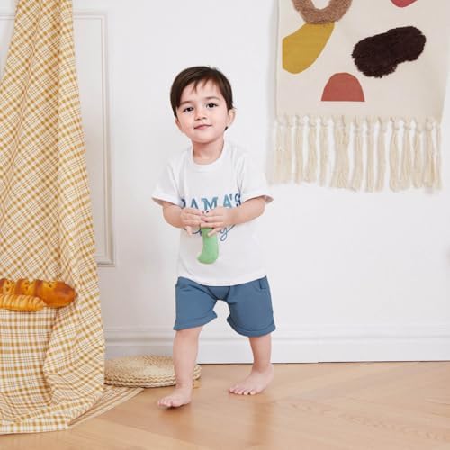 Trendy Embedded T-Shirt Set for Toddler Boys