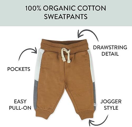 Honest Baby Organic Multipack Pullover Set for Babies and Kids