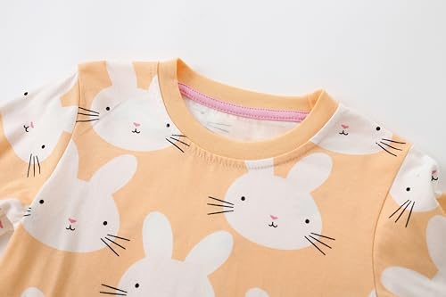 DDSOL Toddler Girls Pajama Set with Cartoon Graphics