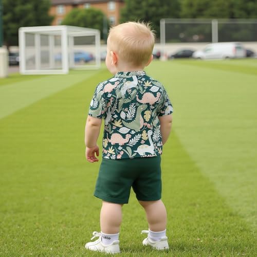 Toddler Boy Dinosaur Print Shorts Set for Summer