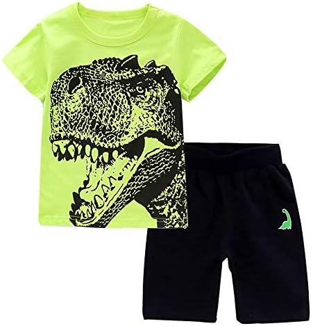 Dinosaur Friends Toddler Boys Cotton T-Shirt and Shorts Set