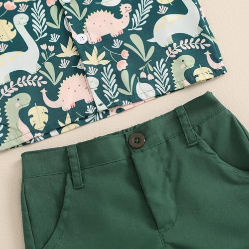 Toddler Boy Dinosaur Print Shorts Set for Summer