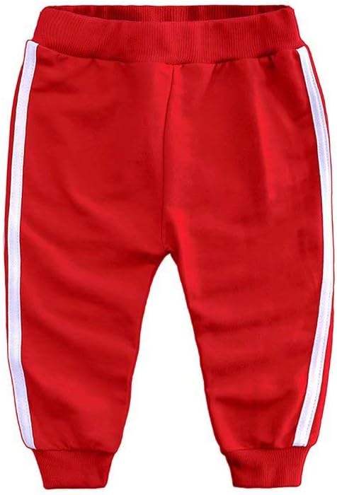 Baby Boy Girl Hoodie Tracksuit Zipper Jacket Set