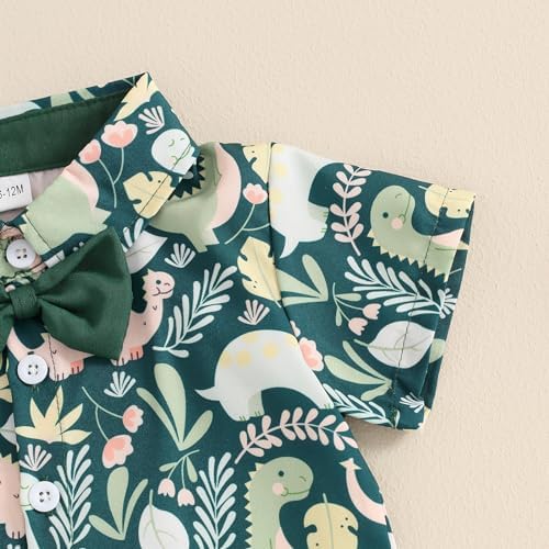 Toddler Boy Dinosaur Print Shorts Set for Summer