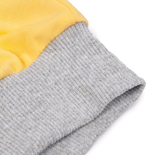 Little Hand Boys Dinosaur-Hoodie 2-7 Years