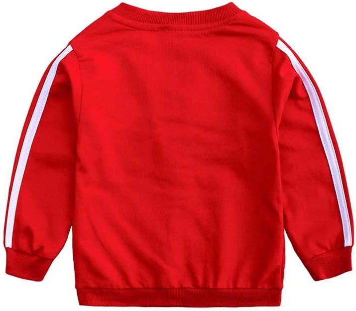 Baby Boy Girl Hoodie Tracksuit Zipper Jacket Set