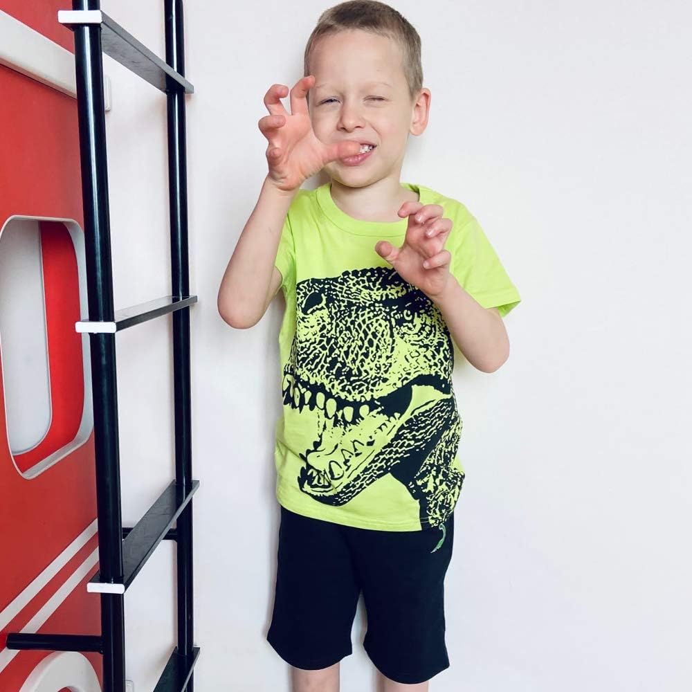 Dinosaur Friends Toddler Boys Cotton T-Shirt and Shorts Set