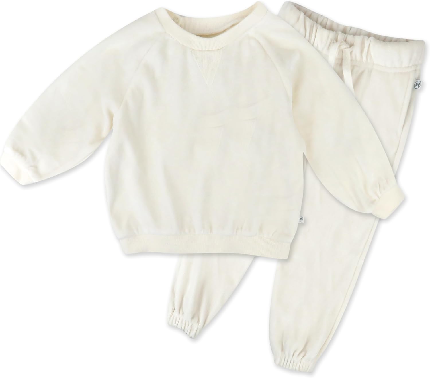 HonestBaby Velour Hoodie and Jogger Set