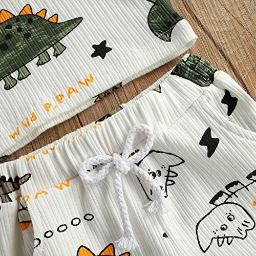 Ledy Champswiin dinosaur summer outfit set