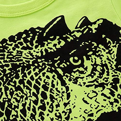 Dinosaur Friends Toddler Boys Cotton T-Shirt and Shorts Set