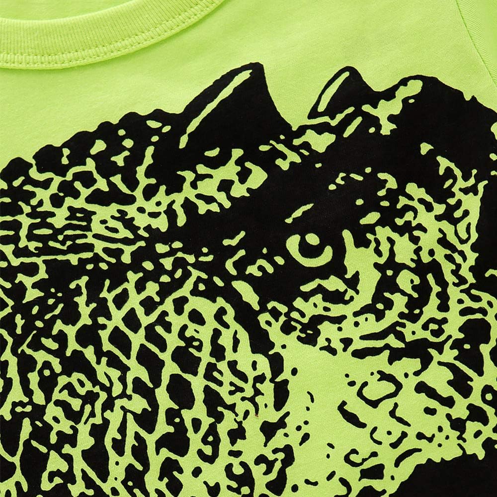 Dinosaur Friends Toddler Boys Cotton T-Shirt and Shorts Set