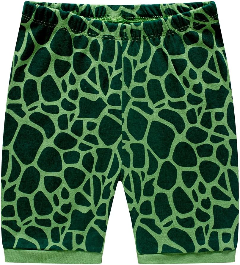 Popshion Boys Pajamas T-Rex DHS Desert Planet Dinosaur Design
