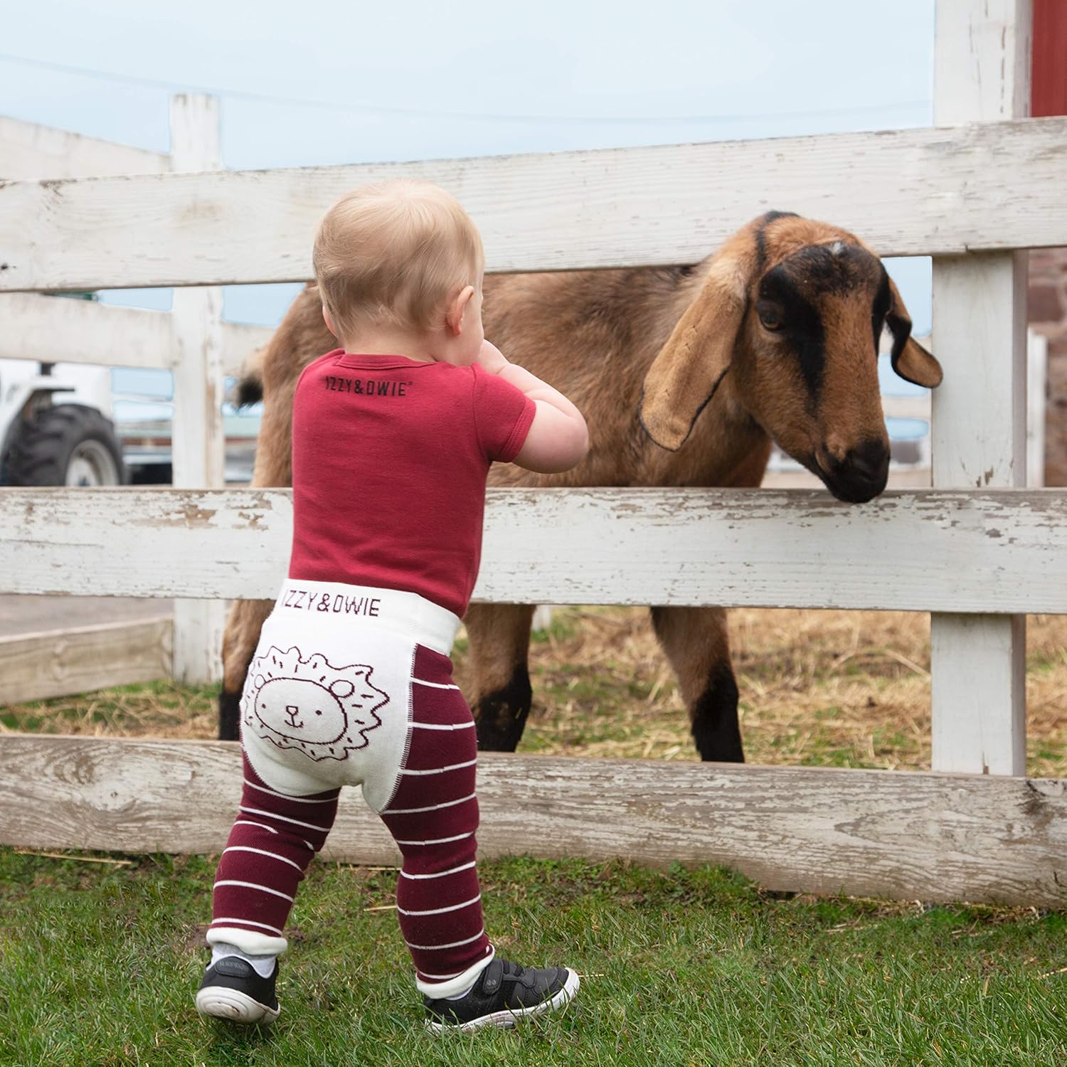 Loving Lion Red Leggings for Babies
