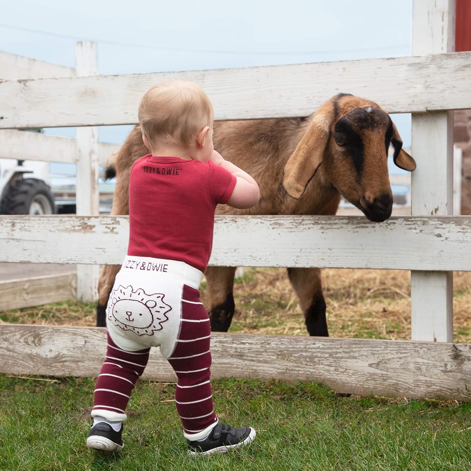 Loving Lion Red Leggings for Babies
